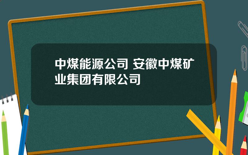 中煤能源公司 安徽中煤矿业集团有限公司